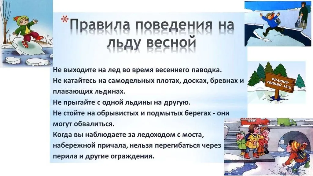 WhatsApp Image 2023-03-29 at 09.31.19 (1)